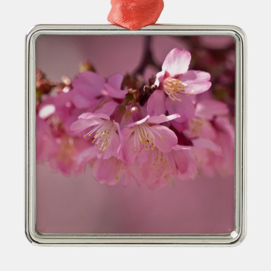 Sakura Cherry Blossom Delicate Pink Bouquet Metalen Ornament (Voorkant)