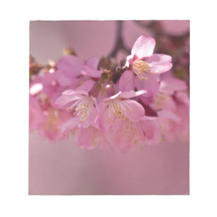Sakura Cherry Blossom Delicate Pink Bouquet Notitieblok