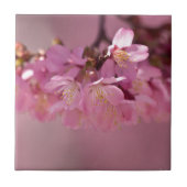 Sakura Cherry Blossom Delicate Pink Bouquet Tegeltje (Voorkant)