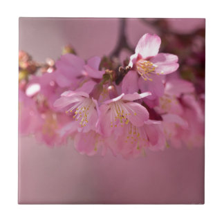 Sakura Cherry Blossom Delicate Pink Bouquet Tegeltje