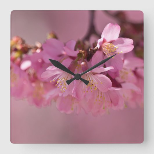Sakura Cherry Blossom Delicate Pink Bouquet Vierkante Klok (Voorkant)