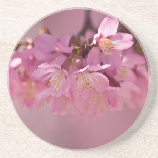 Sakura Cherry Blossom Delicate Pink Bouquet Zandsteen Onderzetter (Voorkant)