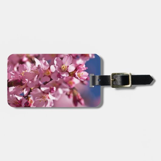 Sakura Cherry Blossom gekust door zonlicht Bagagelabel (Voorkant horizontaal)
