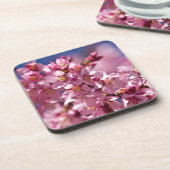 Sakura Cherry Blossom gekust door zonlicht Bier Onderzetter (Linkerzijde)
