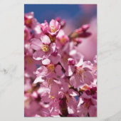 Sakura Cherry Blossom gekust door zonlicht Briefpapier (Voorkant)