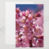 Sakura Cherry Blossom gekust door zonlicht Briefpapier (Voorkant / Achterkant)