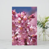 Sakura Cherry Blossom gekust door zonlicht Briefpapier (Staand voorkant)