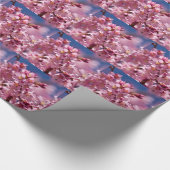 Sakura Cherry Blossom gekust door zonlicht Cadeaupapier (Hoek)
