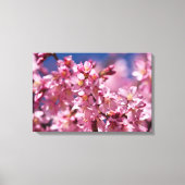 Sakura Cherry Blossom gekust door zonlicht Canvas Afdruk (Voorkant)