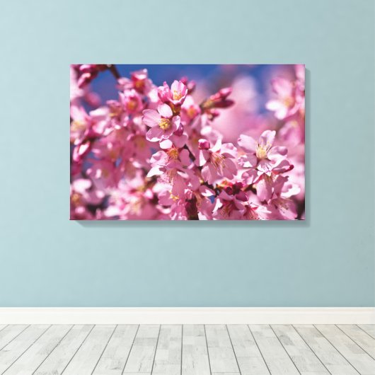 Sakura Cherry Blossom gekust door zonlicht Canvas Afdruk (Insitu (Houten vloer))