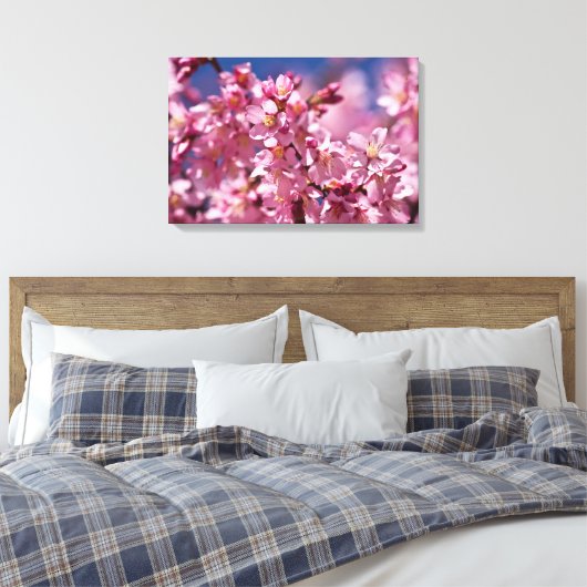 Sakura Cherry Blossom gekust door zonlicht Canvas Afdruk (Insitu (Slaapkamer))