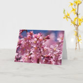 Sakura Cherry Blossom gekust door zonlicht Kaart (Gele Bloem)