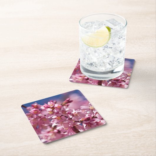 Sakura Cherry Blossom gekust door zonlicht Kartonnen Onderzetters (Insitu)