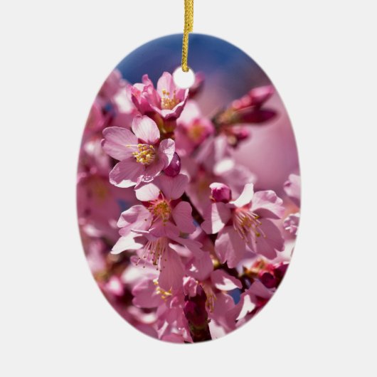 Sakura Cherry Blossom gekust door zonlicht Keramisch Ornament (Voorkant)