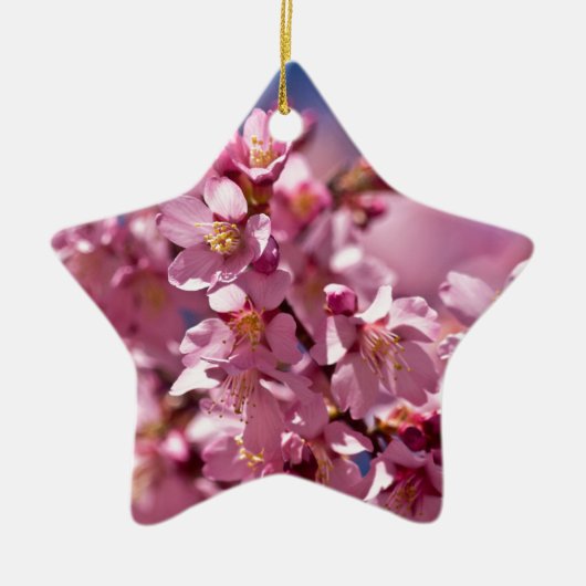 Sakura Cherry Blossom gekust door zonlicht Keramisch Ornament (Voorkant)