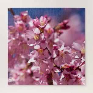 Sakura Cherry Blossom gekust door zonlicht Legpuzzel