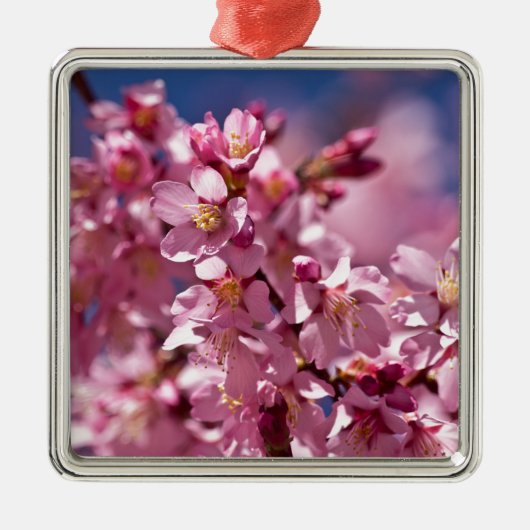 Sakura Cherry Blossom gekust door zonlicht Metalen Ornament (Voorkant)