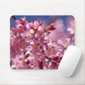 Sakura Cherry Blossom gekust door zonlicht Muismat (Met muis)