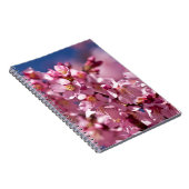 Sakura Cherry Blossom gekust door zonlicht Notitieboek (Rechterzijde)
