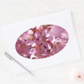 Sakura Cherry Blossom gekust door zonlicht Ovale Sticker (Envelop)