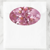 Sakura Cherry Blossom gekust door zonlicht Ovale Sticker (Tas)