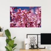 Sakura Cherry Blossom gekust door zonlicht Poster (Thuiskantoor)