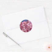 Sakura Cherry Blossom gekust door zonlicht Ronde Sticker (Envelop)