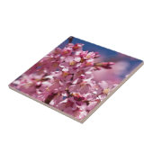 Sakura Cherry Blossom gekust door zonlicht Tegeltje (Zijkant)
