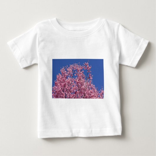 Sakura Cherry Blossom in the Blue (Voorkant)
