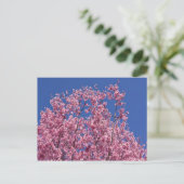 Sakura Cherry Blossom in the Blue Briefkaart (Staand voorkant)