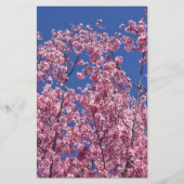 Sakura Cherry Blossom in the Blue Briefpapier (Voorkant)
