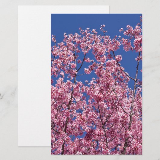 Sakura Cherry Blossom in the Blue Briefpapier (Voorkant / Achterkant)