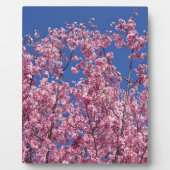 Sakura Cherry Blossom in the Blue Fotoplaat (Voorkant)