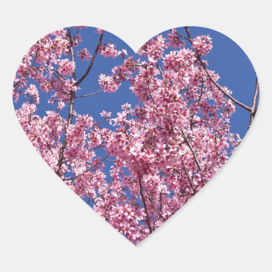 Sakura Cherry Blossom in the Blue Hart Sticker (Voorkant)