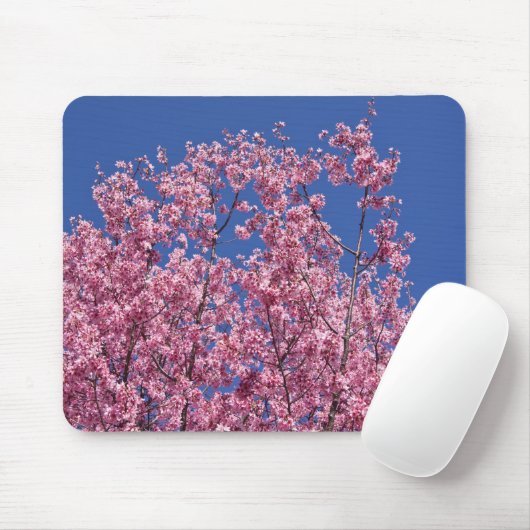 Sakura Cherry Blossom in the Blue Muismat (Met muis)