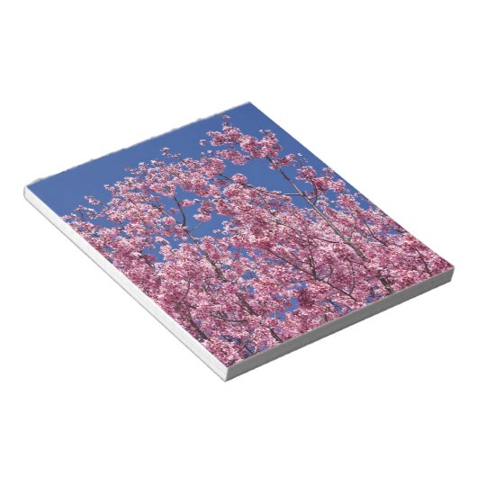 Sakura Cherry Blossom in the Blue Notitieblok (Schuin)