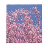 Sakura Cherry Blossom in the Blue Notitieblok (Voorkant)