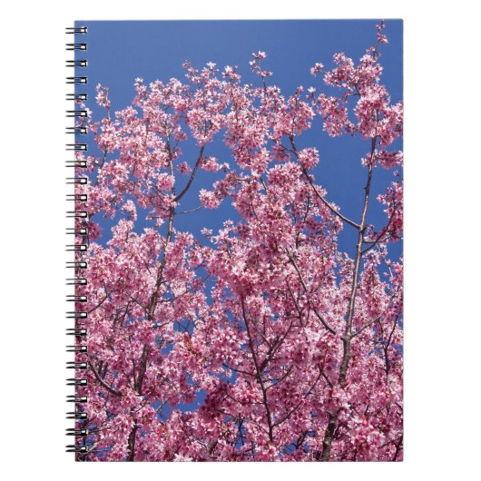 Sakura Cherry Blossom in the Blue Notitieboek (Voorkant)