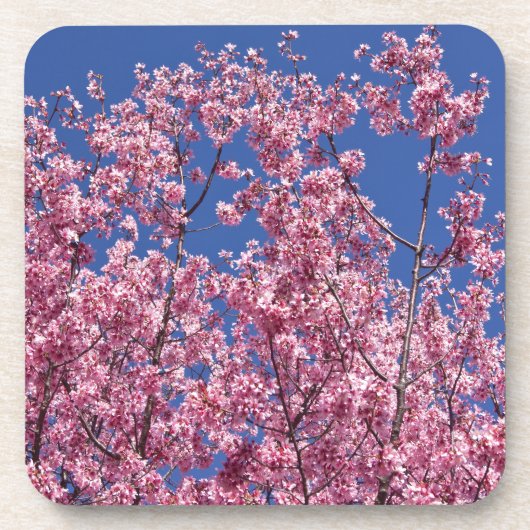 Sakura Cherry Blossom in the Blue Onderzetter (Voorkant)