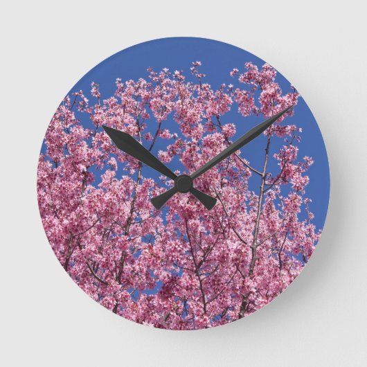Sakura Cherry Blossom in the Blue Ronde Klok (Voorkant)