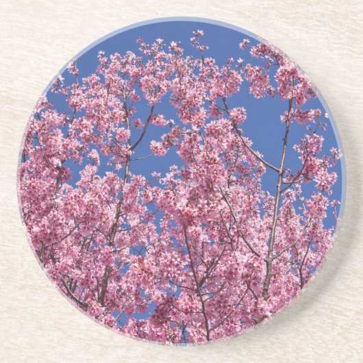 Sakura Cherry Blossom in the Blue Zandsteen Onderzetter (Voorkant)