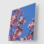 Sakura Cherry Blossom met blauw Vierkante Klok (Hoek)