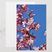 Sakura Cherry Blossom met Blue Briefpapier (Voorkant / Achterkant)
