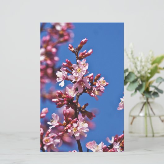 Sakura Cherry Blossom met Blue Briefpapier (Staand voorkant)