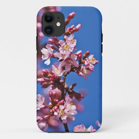 Sakura Cherry Blossom met Blue Case-Mate iPhone Case (Achterkant)