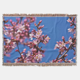Sakura Cherry Blossom met Blue Deken