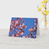 Sakura Cherry Blossom met Blue Kaart (Gele Bloem)