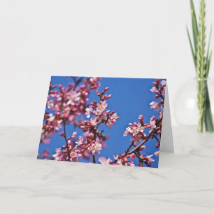 Sakura Cherry Blossom met Blue Kaart