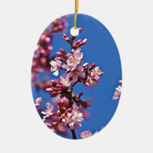Sakura Cherry Blossom met Blue Keramisch Ornament (Voorkant)