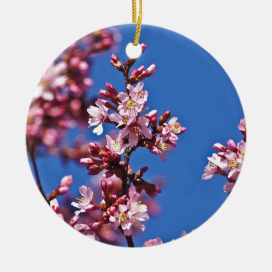 Sakura Cherry Blossom met Blue Keramisch Ornament (Voorkant)